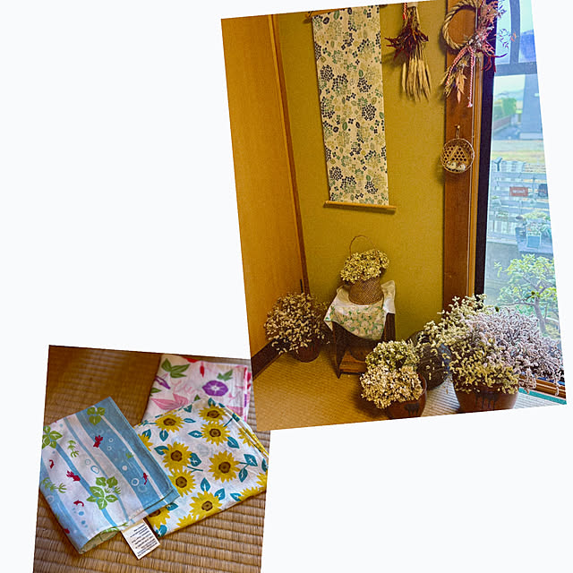 CoCo0617さんの部屋