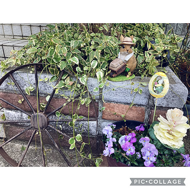 CoCo0617さんの実例写真