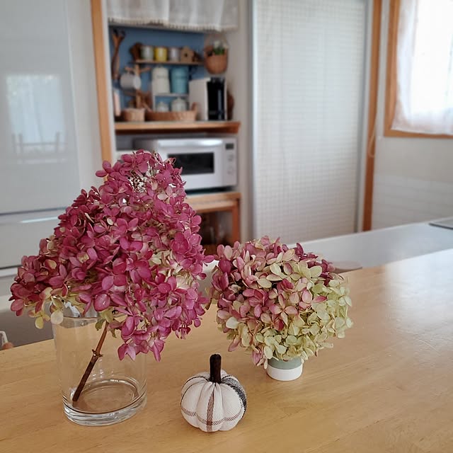 satosanさんの部屋