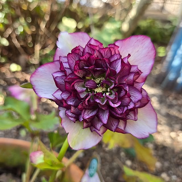 min_nimさんの実例写真