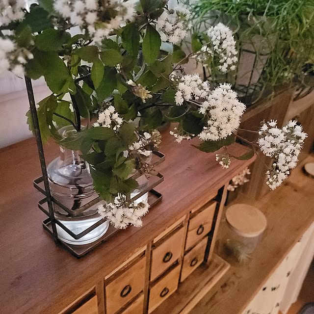 masarinn.さんの部屋