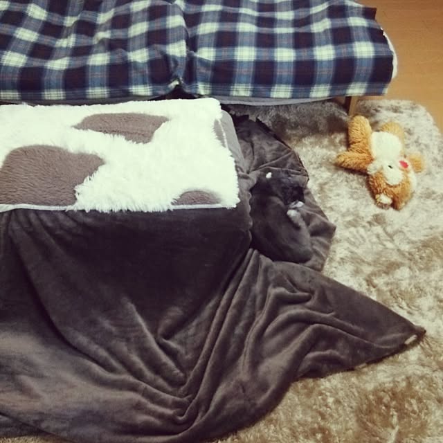 satominさんの実例写真