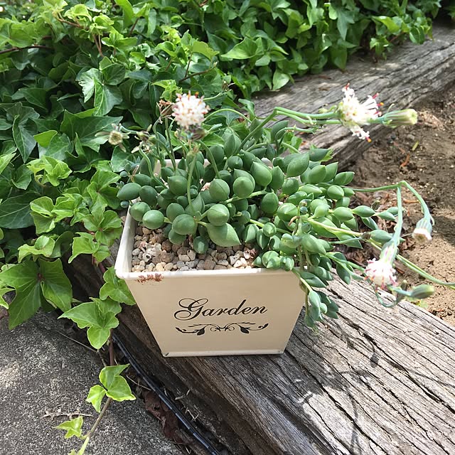 hiraitataさんの実例写真