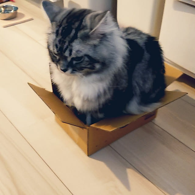 annetina374さんの実例写真