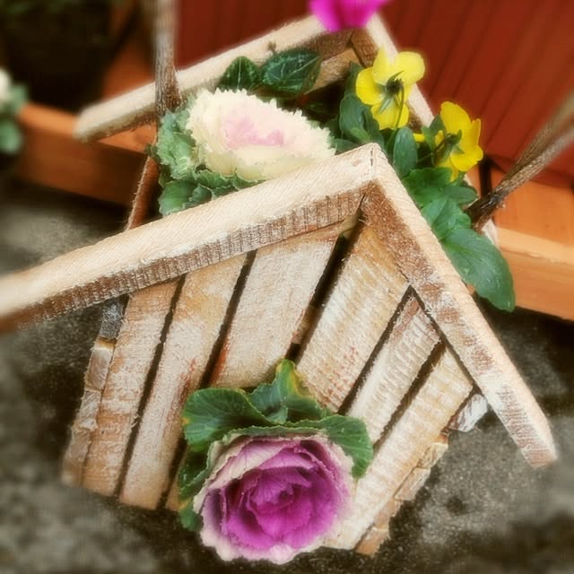 soraさんの実例写真