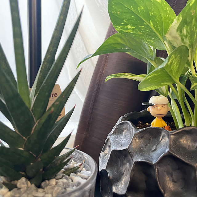 Ichiro_Tanakaさんの部屋