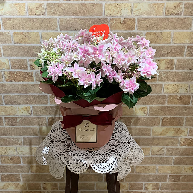 Yuki1120さんの実例写真