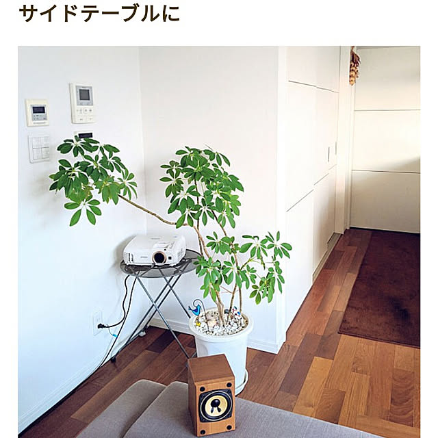 gooskaさんの実例写真