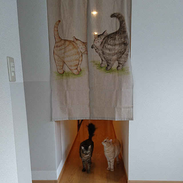 makoさんの実例写真