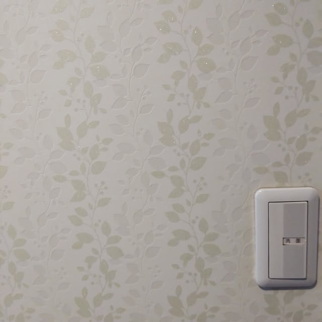 aisuさんの実例写真