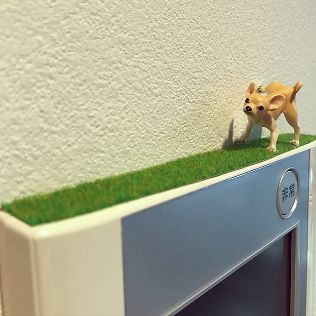 namiheeeeyさんの実例写真
