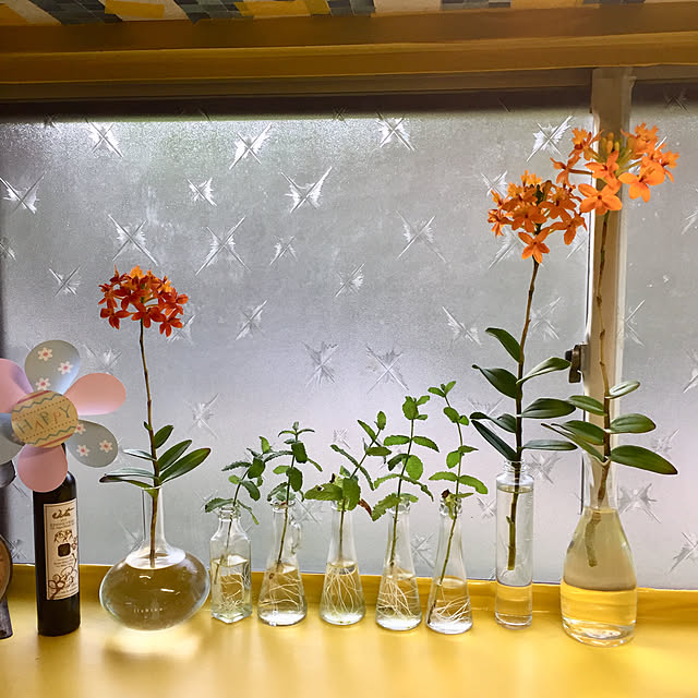 tanutanさんの実例写真