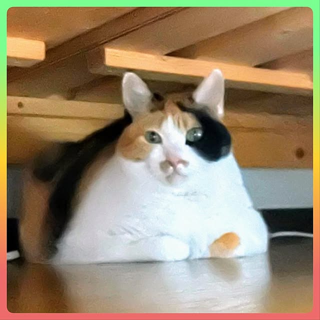 nanaさんの部屋