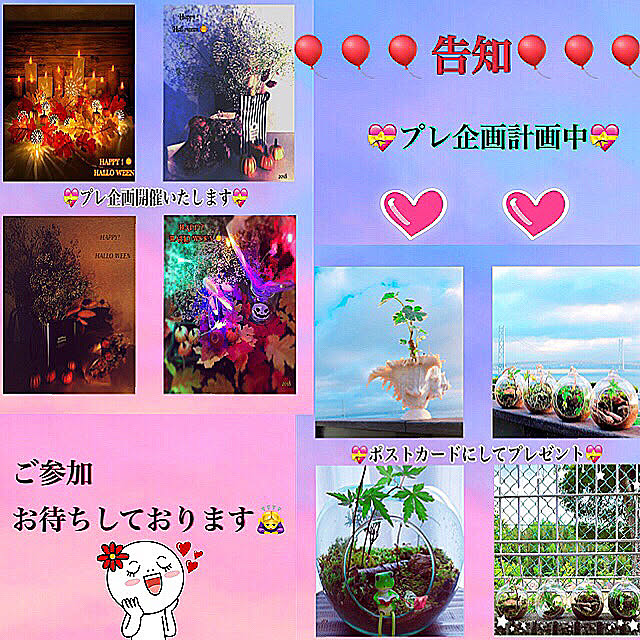 koyuriさんの実例写真