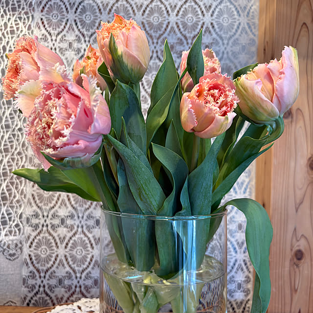 MIPONさんの部屋