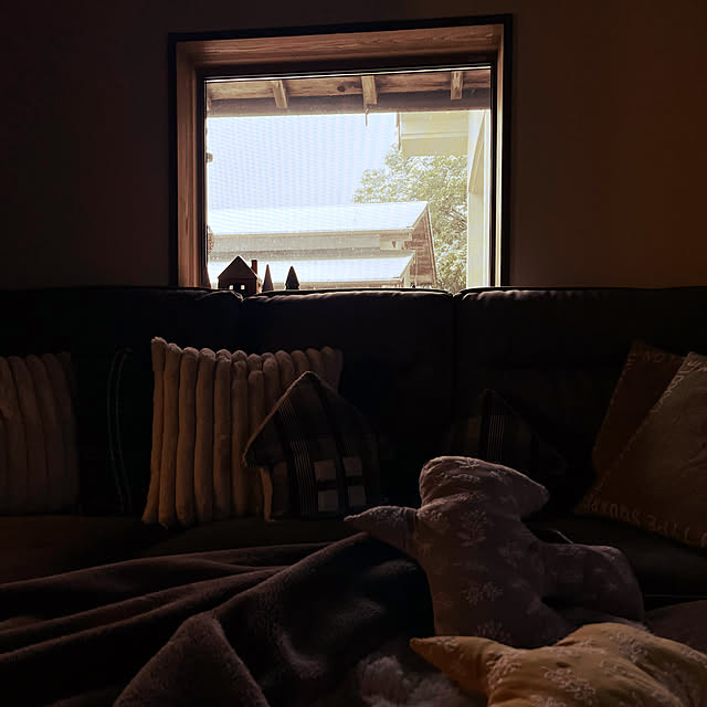cotaさんの部屋