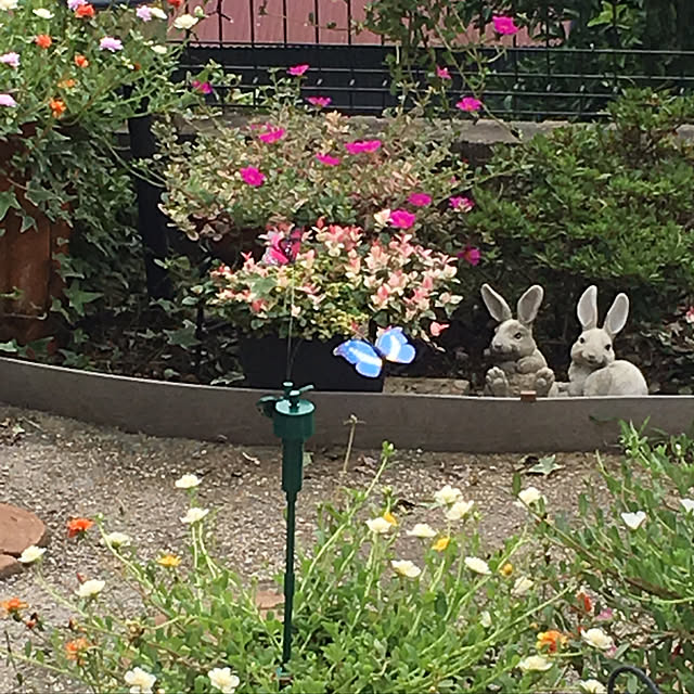 kiyomiさんの実例写真