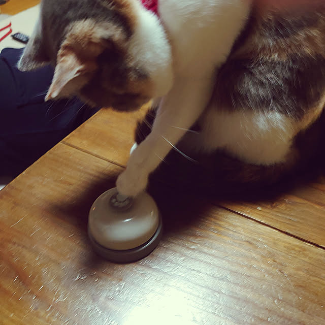 fukuさんの実例写真