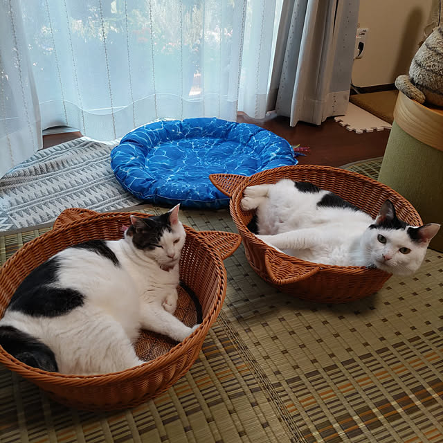 yuuさんの実例写真