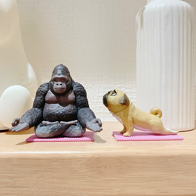 orinさんの実例写真