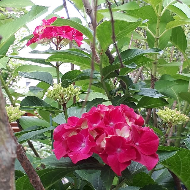 min_nimさんの実例写真