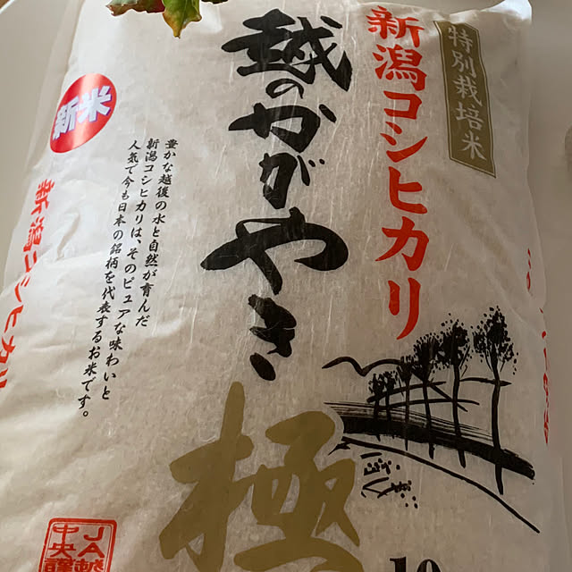 syutmmさんの部屋
