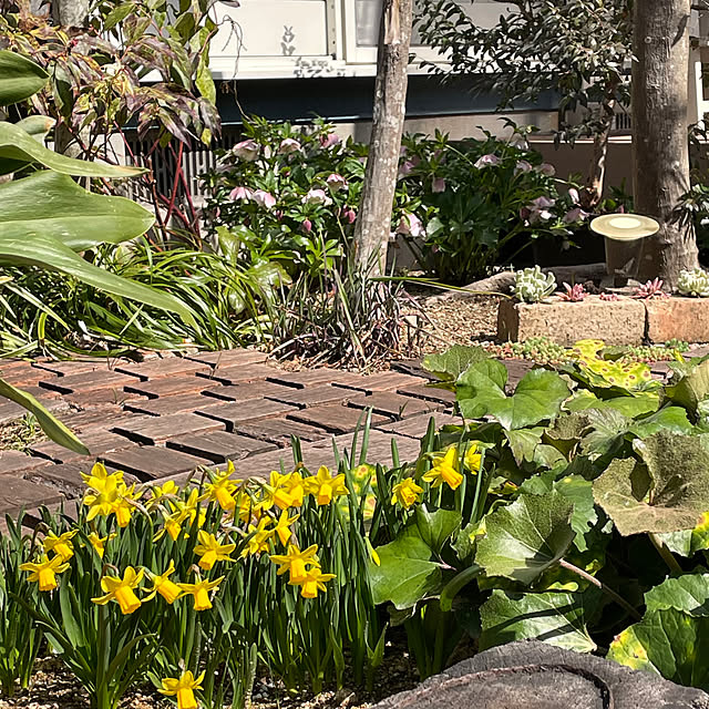 nobikoさんの実例写真