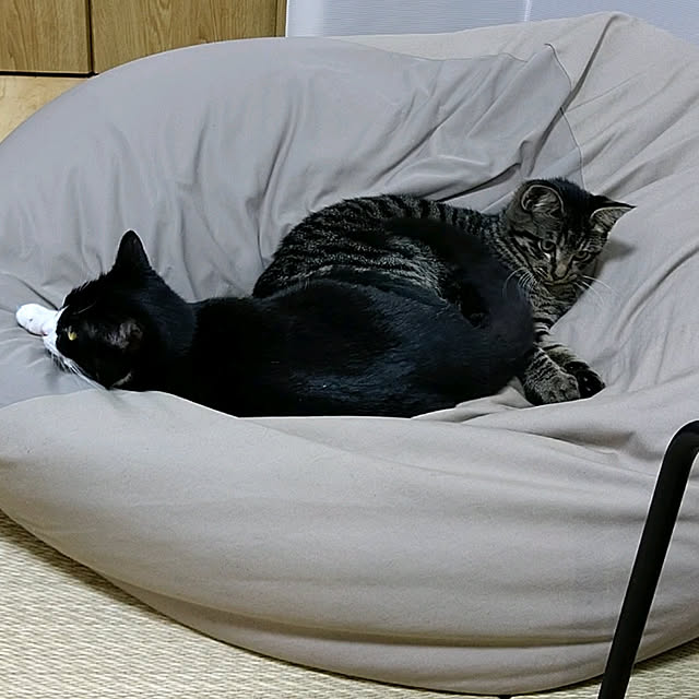 hihaさんの実例写真
