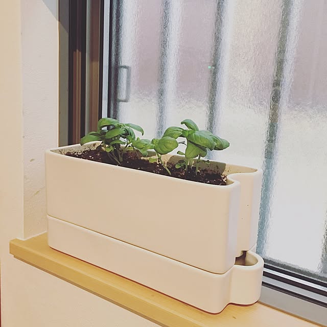 miuさんの実例写真