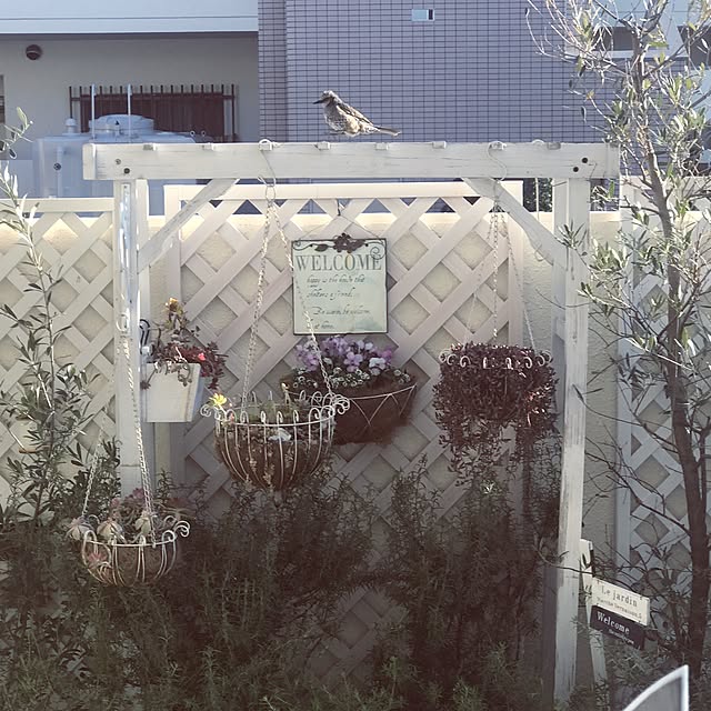 hideさんの実例写真