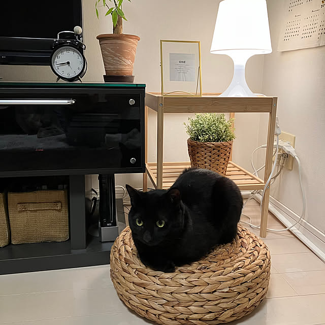 nekomiさんの部屋
