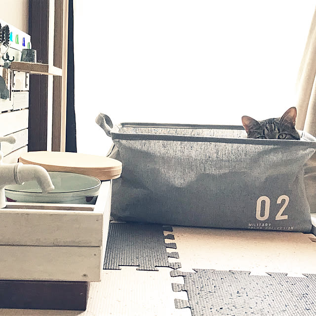 cat.mさんの実例写真