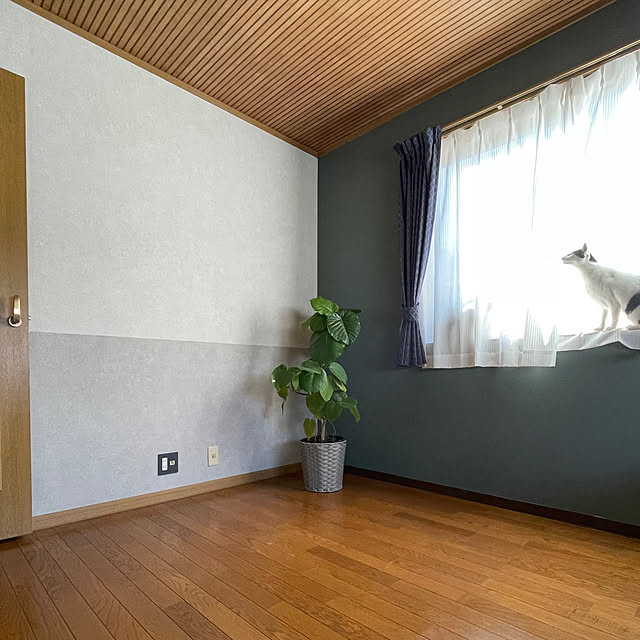 nobikoさんの部屋