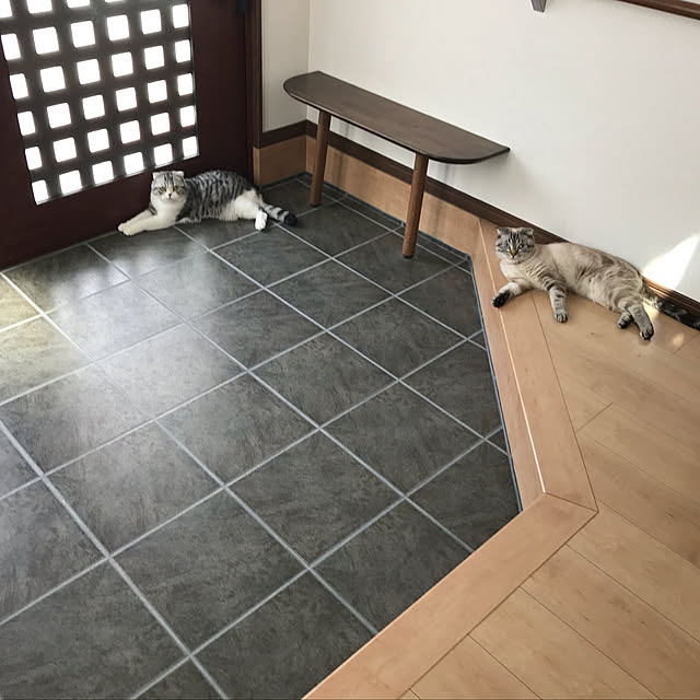 Dahliaさんの実例写真