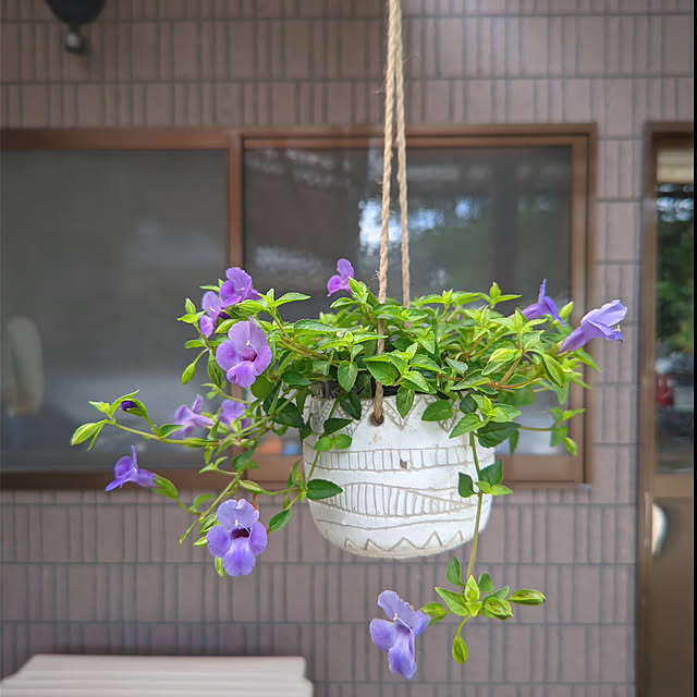 sakakenさんの実例写真
