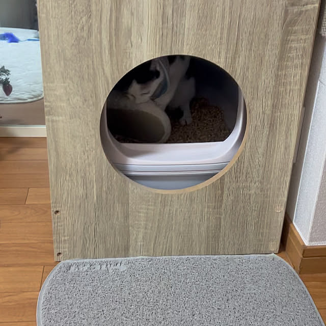 punさんの部屋