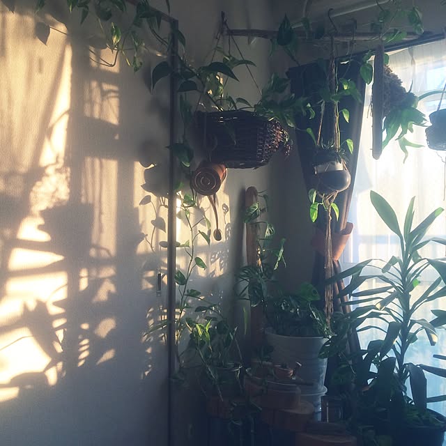 実例写真