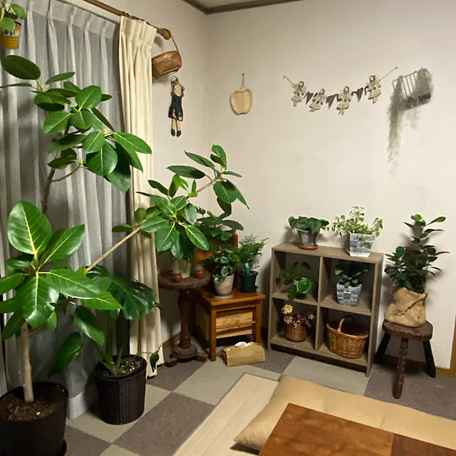 mamaさんの実例写真