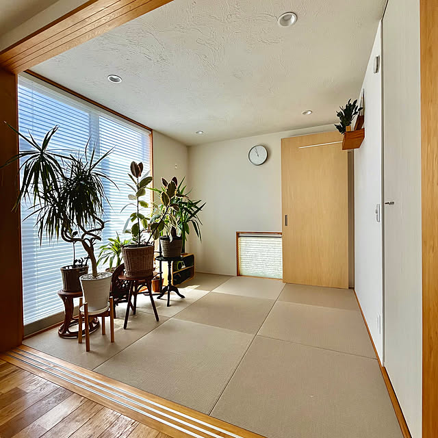tamabaka1971さんの部屋