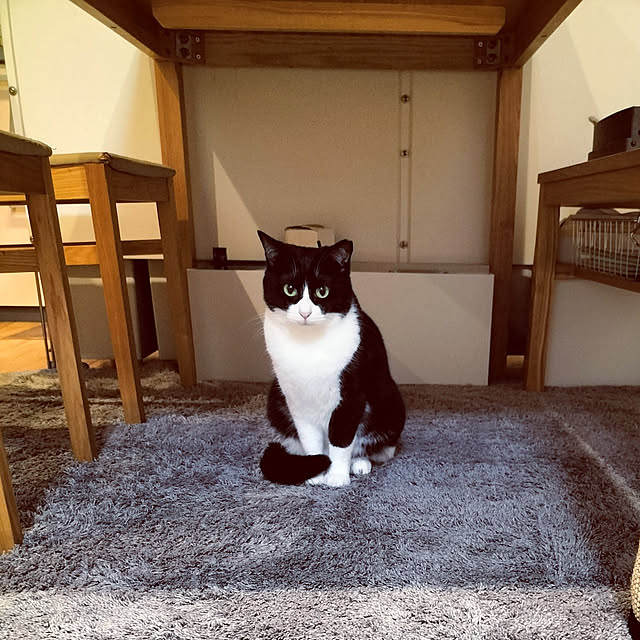 hihaさんの実例写真