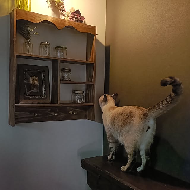 Atelier_tamakiさんの部屋