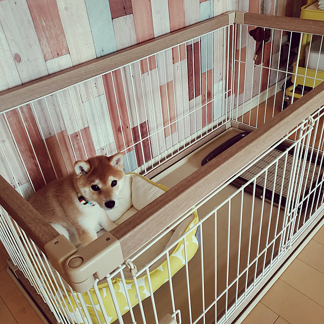 cherryさんの実例写真