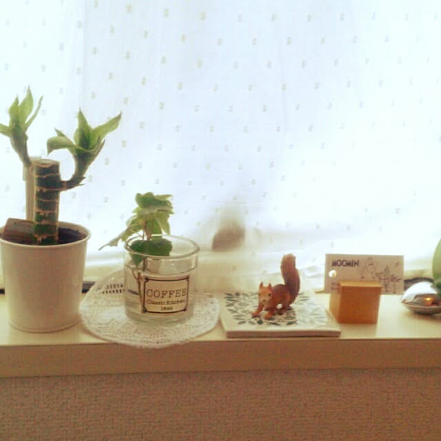 dotlaceさんの実例写真