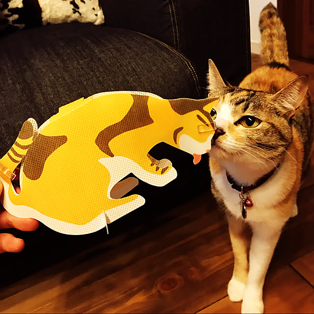 Nozomiさんの実例写真