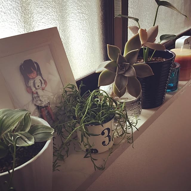 tawashimarukoさんの実例写真
