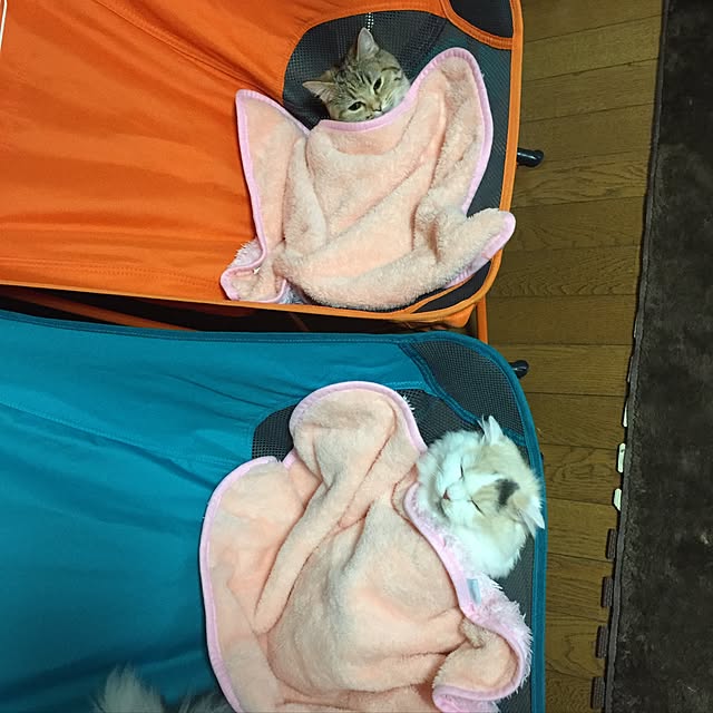 keibooさんの実例写真