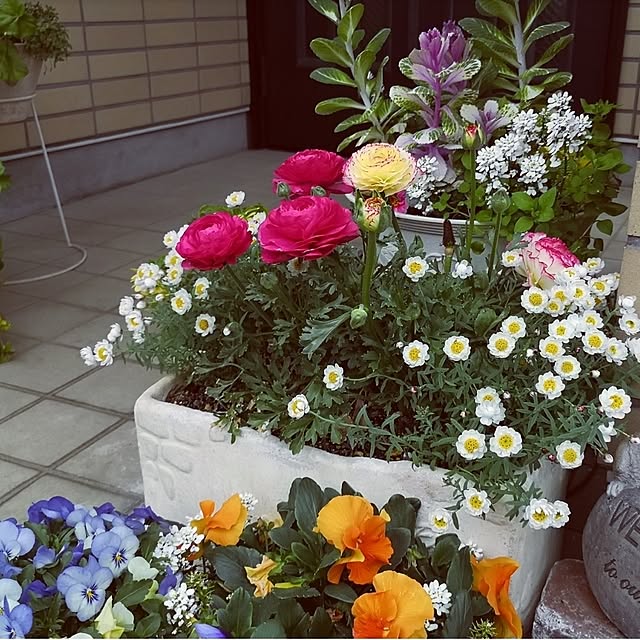 ku-garnet18さんの部屋