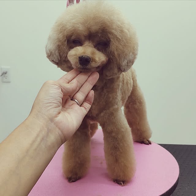 yuuさんの実例写真