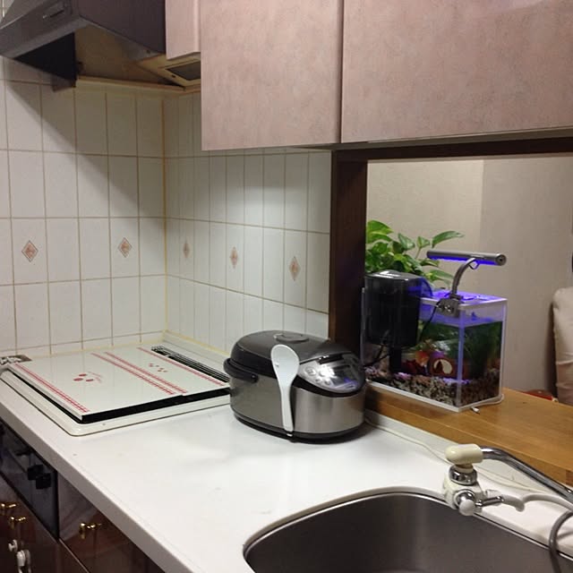 kiyomiさんの実例写真