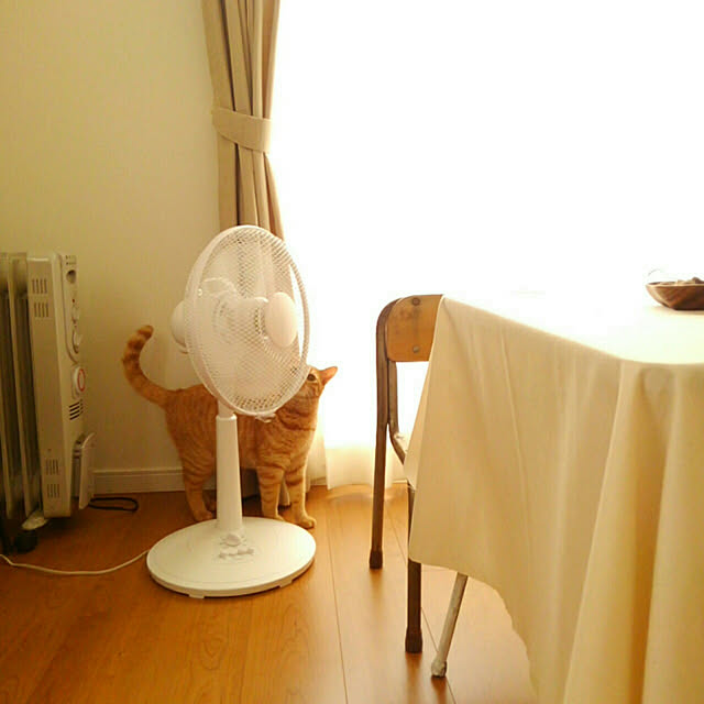 mayutan.さんの実例写真